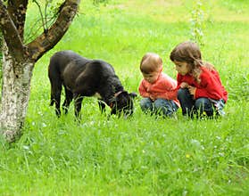 Children with dog
