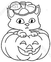 Pumpkin and cute cat coloring