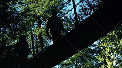 Reflection Of People Crossing Bridge In Forest