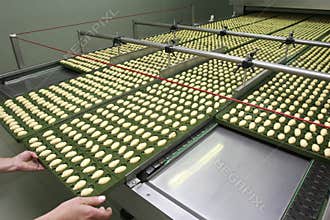 Food industry new 7