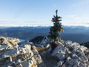 Artifical christmas tree