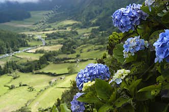 Azores