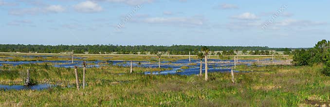 A Panorama of the Waters Created as a Man-Made Wetland