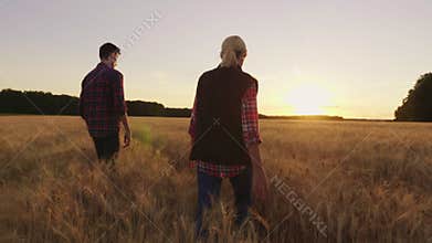 Two farmers are walking along the wheat field towards the setting sun. In harmony with nature