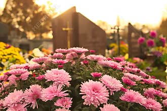 Flowers on a grave at cemetery