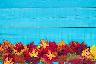 Blank autumn wood sign with colorful leaves border