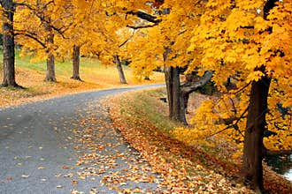 Fall Road
