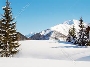 Alpine Winter Snow scene