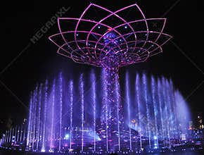 Tree of life show at EXPO in Milan