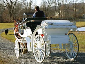 Horse Drawn Carriage