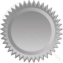 Silver Starburst