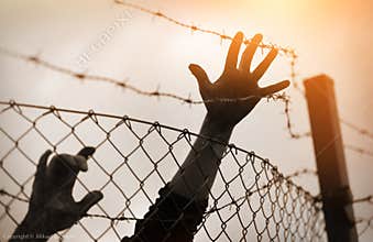 Refugee men and fence