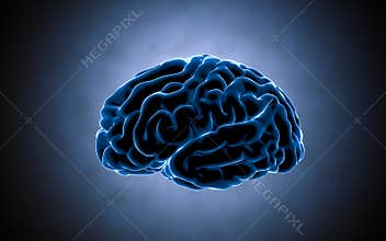Brain impulses. Neuron system. Human anatomy. transferring pulses and generating information