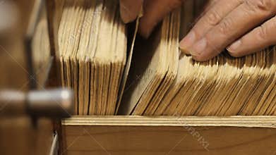 Carrots on the wooden table
