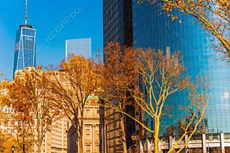 New York City Fall
