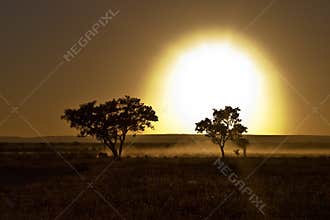 African Sunrize
