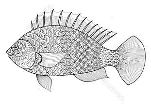 Fish line art zentangle style for coloring book for adult,tattoo,logo, t shirt design, element for design and so on