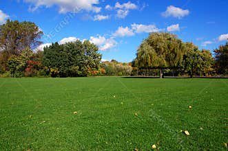 Forest and garden under blue sky at fall