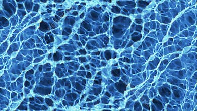 Blue realistic caustics below the water, shot in slow motion , seamless loop