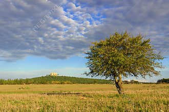 Apulia landscape: Alta Murgia National Park.In the background Castel del Monte.-ITALY(Andria)-