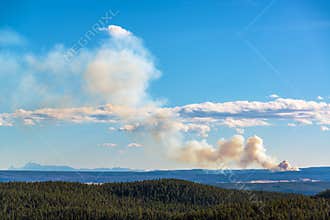 Wildfire in Yellowstone National Park