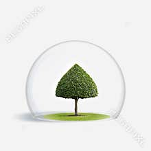 Green Tree is under the protection