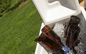 Beer on ice
