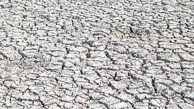 Drought and desertification of dry waterless land, cracked mud, arid ground soil for environmental catastrophe awareness