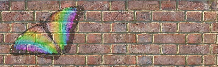 Big Beautiful Rainbow Coloured Butterfly Painted on Brick wall