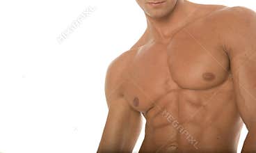 Muscular athletic body builder chest