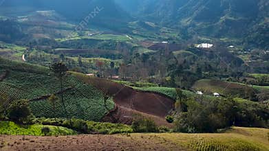 Aerial view of vegetables plantation over hills in Honduras