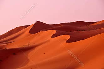 Dunes in the desert of Morocco