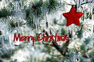 Christmas card with pine tree and iciles, red star and Merry Christmas text