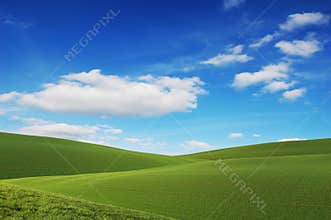 Blue Sky, Green Fields