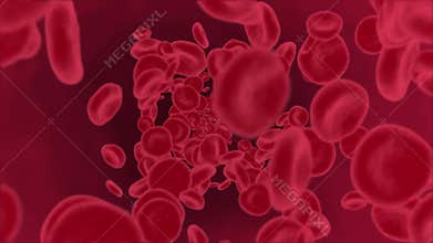 4K 3D Red blood cells flow inside body, medical human health-care Loop Background Alpha Channel.