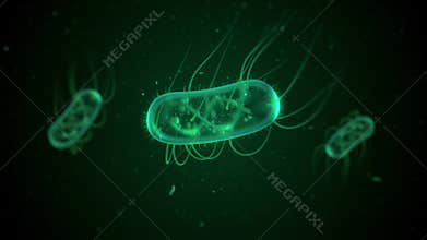 E. Coli bacteria floating