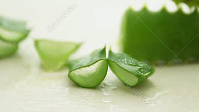 Aloe Vera the leaves of the plant cut, aloe Vera juice