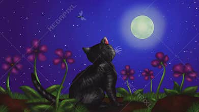 Cat sitting and watching full moon at night 2019 animation MP4