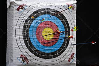 Morrell Archery Target with Arrows Stuck