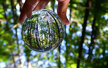 The green forest captured through a crystal lens ball