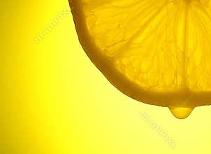 Lemon anatomy