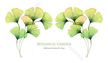 Watercolor floral background. Horizontal banner with transparent green leaves and place for text. Hand painted artwork