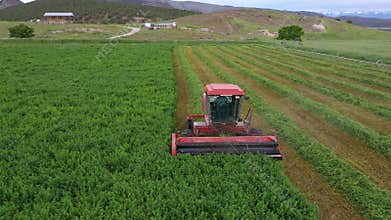 Aerial Farm field swather cutting alfalfa hay pull fast motion 4K