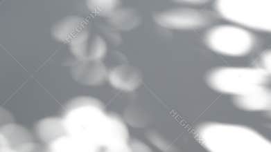 Summer concept the motion of bokeh sunlight natural shadow overlay on white texture background