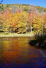 Peaceful autumn fall stroll to enjoy the colorful leaves