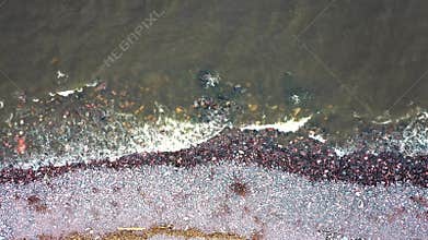 Still Birdseye Drone Shot of stony seashore
