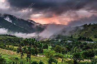 Mashpi Ecological Reserve, Ecuador, Highlands,
