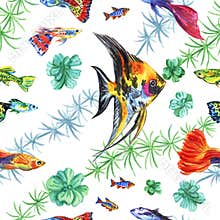 Seamless pattern of aquarium fish and plants