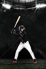 Porfessional baseball player with bat on grand arena. Ballplayer on stadium.