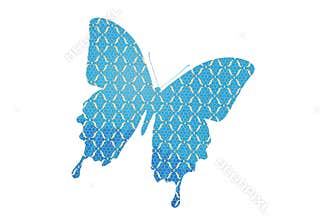 Blue butterfly isolated on white background. Illustration design